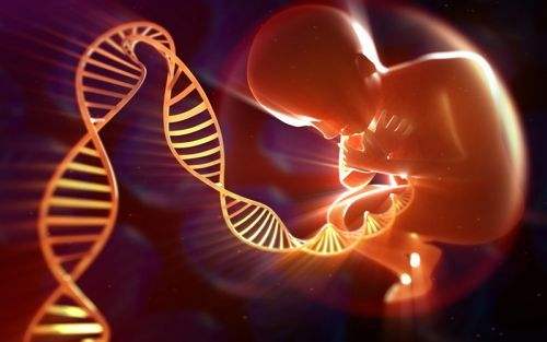 意外怀孕后胎儿亲子鉴定怎么做